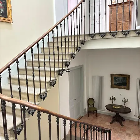 Les D'aime Carcassonne